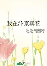 我在汴京卖花免费阅读格格党封面
